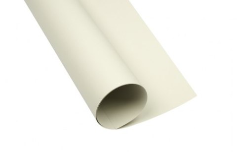 Karton kolorowy Oxford B1 225g 25ark nr.93 j.szary 400150253 TOP-2000