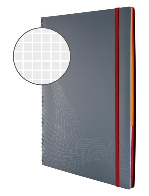 Kołonotatnik_Notizio 7017 A4 kratka 90 kartek oprawa - tworzywo sztuczne, szary, Notizio by Avery Zweckform SALE