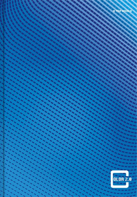 Brulion A5 96 kartek, COLOR 2.0 kratka z marginesem TOP 2000 400133375