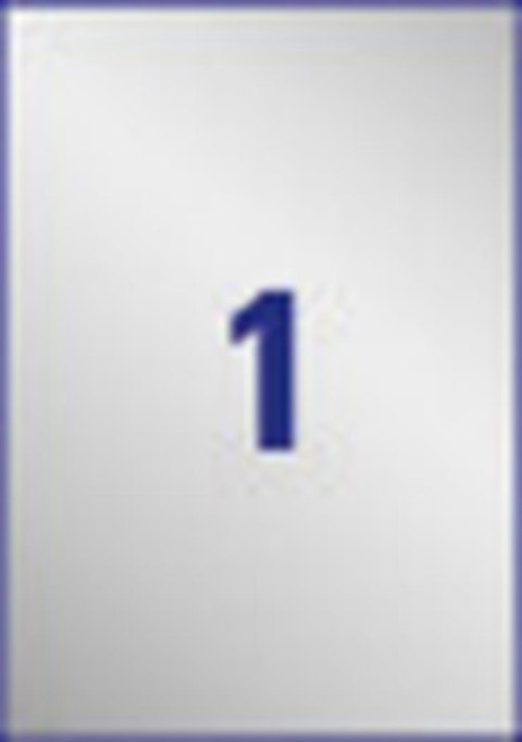 Etykiety znamionowe 210x297mm, srebrne etykiety wodoodporne, etykiety poliestrowe 20ark tabliczki znamionowe do druku, etykiety 