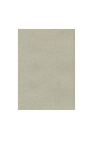 Karton wizytówkowy A4 platynowy W72 (10) 235g KRESKA