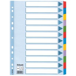 Przekładki, kolorowy karton, karta opisowa Mylar A4, Esselte, 12 kart, , 100169