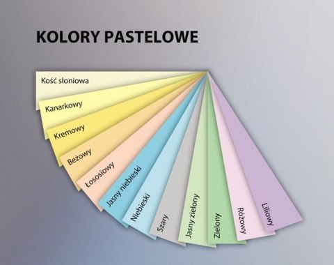 Papier xero A4 160g kość słoniowa xem416093 EMERSON 250ark kremowy ecru