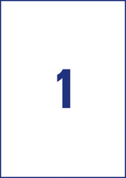 Etykiety uniwersalne Economy Europe100 by Avery Zweckform, A4, 100 ark./op., 210 x 297 mm, białe ELA027