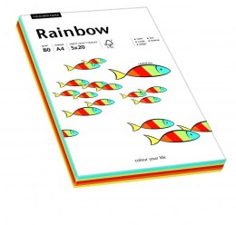 Papier xero kolorowy A4 80g 100 ark. RAINBOW mix Intensywny 88043188